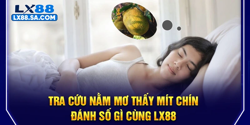 Tra cứu nằm mơ thấy mít chín đánh số gì cùng LX88