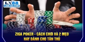Ziga Poker - Cách Chơi Và 2 Mẹo Hay Dành Cho Tân Thủ